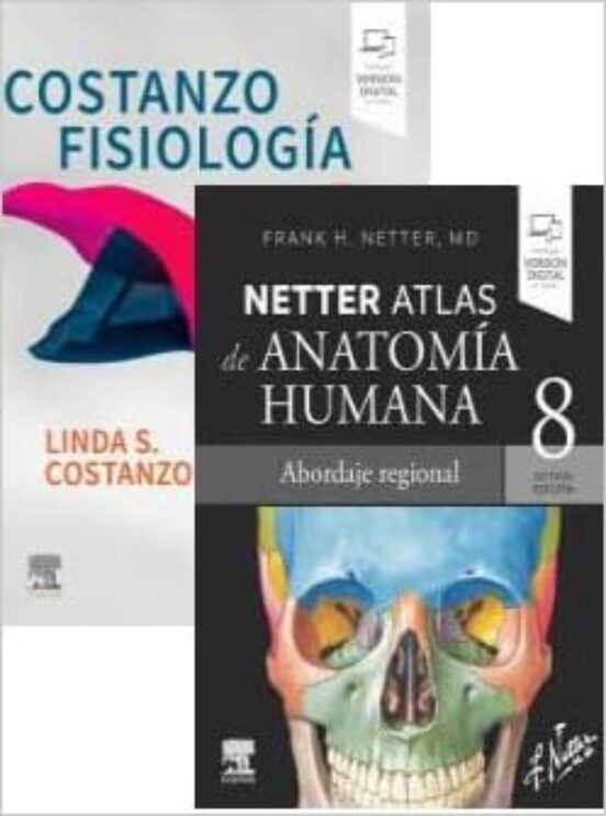 Lote Costanzo - Netter