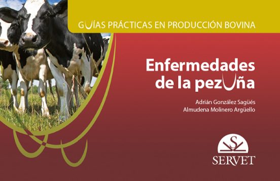 Guías Prácticas En Producción Bovina. Enfermedades De La Pezuña