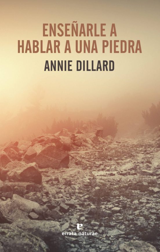 Enseñarle A Hablar A Una Piedra