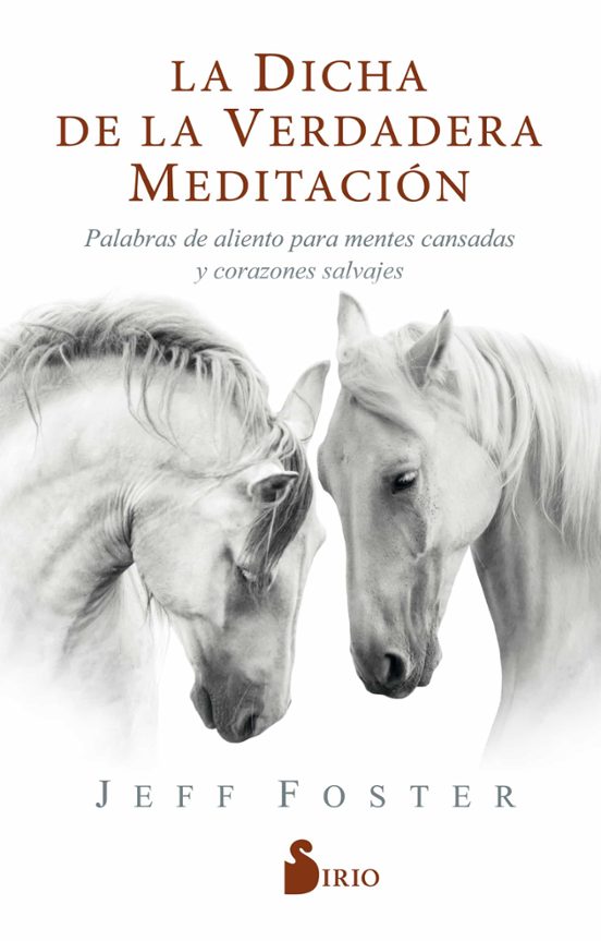 La Dicha De La Verdadera Meditacion: Palabras De Aliento Para Mentes C