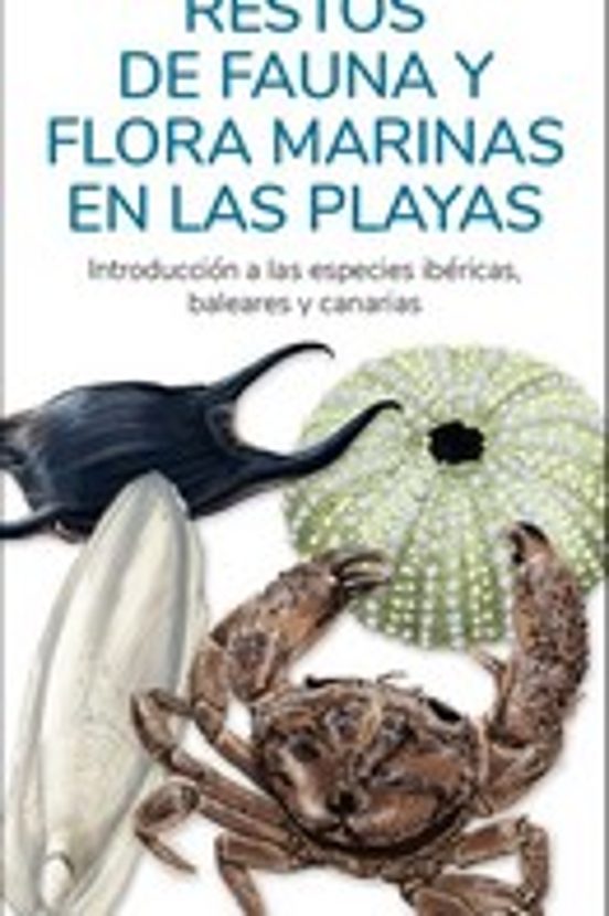 Restos De Fauna Y Flora Marinas En Las Playas. Introduccion A Las Espe