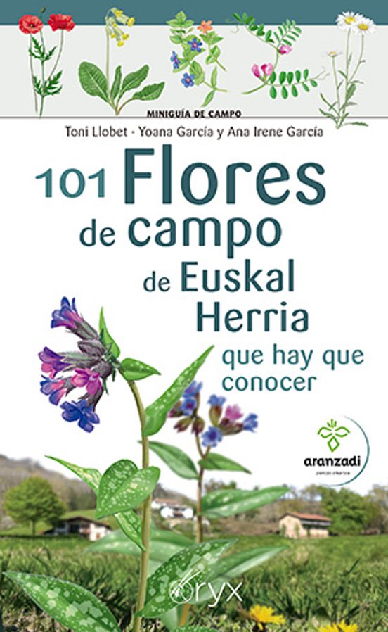 101 Flores De Campo De Euskal Herria Que Hay Que Conocer