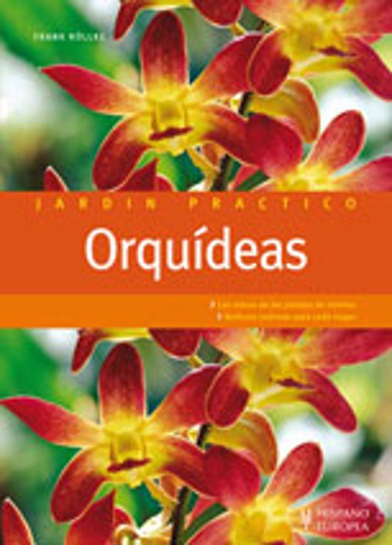 Jardin Practico: Orquideas