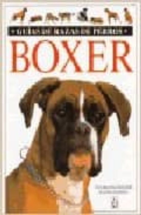 Boxer