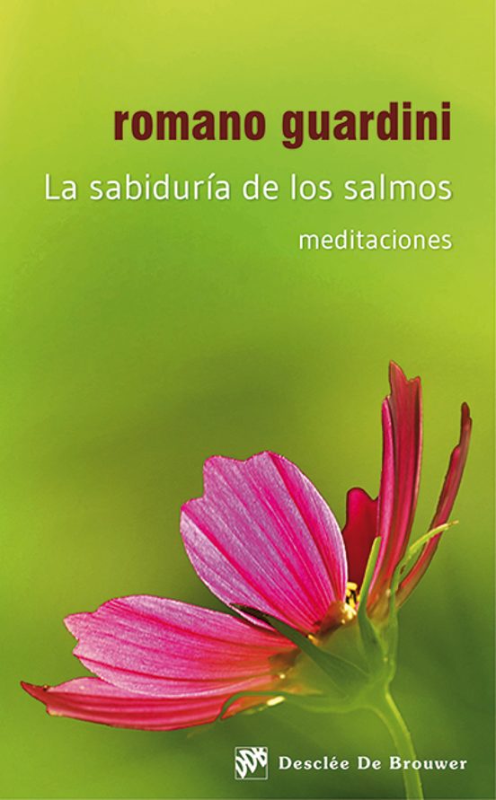 La Sabiduria De Los Salmos: Meditaciones