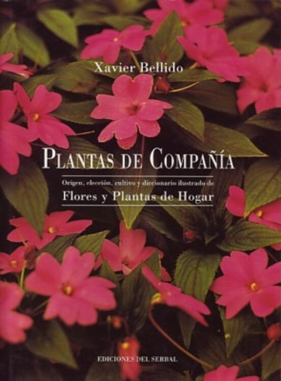 Plantas De Compañía
