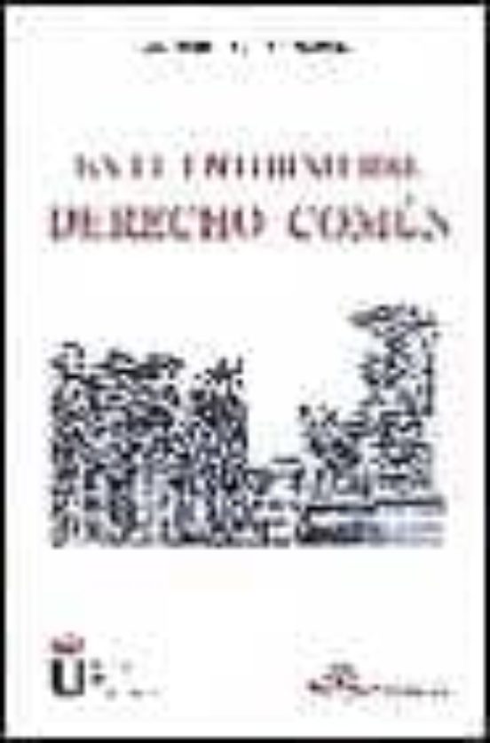 En El Entorno Del Derecho Común