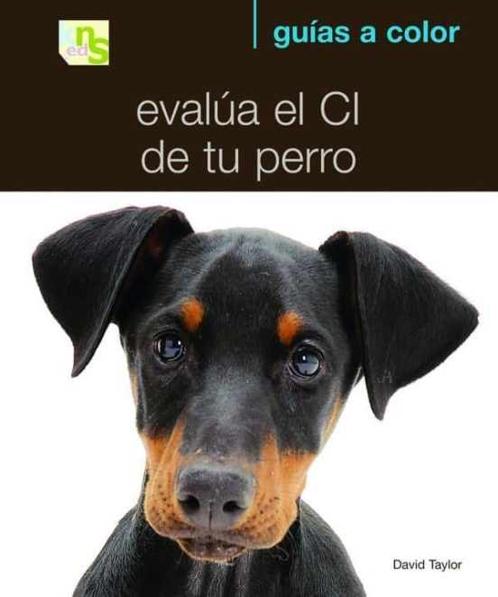 Evalúa El CI De Tu Perro