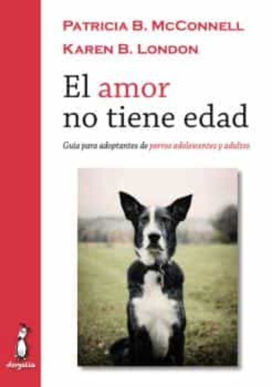 El Amor No Tiene Edad