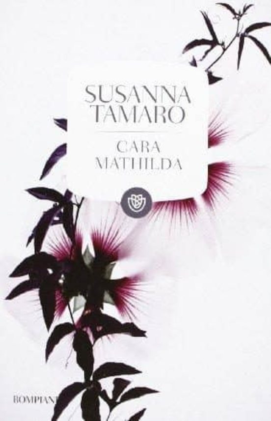 Cara Mathilda. Lettere A Un Amica