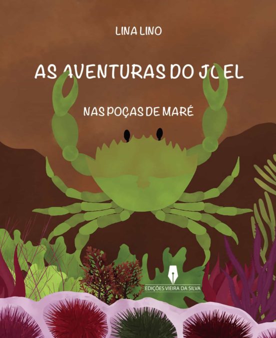 As Aventuras do Joel nas Poças de Maré