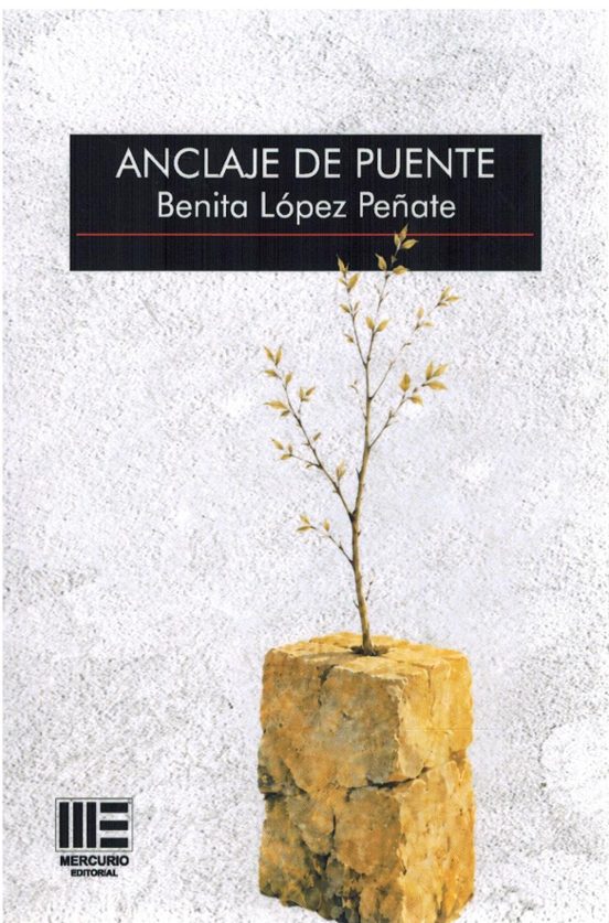Anclaje de puente