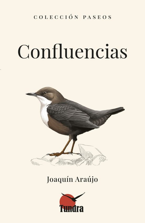 Confluencias