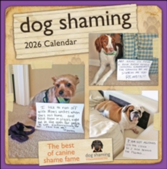 Dog Shaming 2026 Wall Calendar