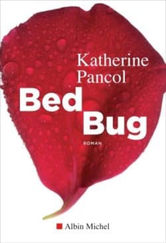 Bed Bug