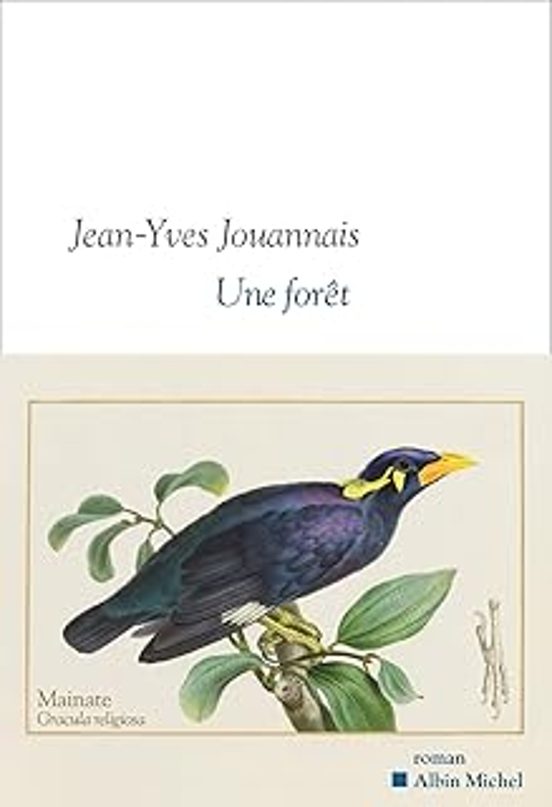 Une forêt