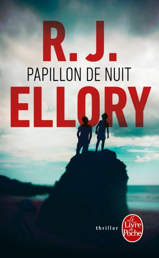 Papillon De Nuit