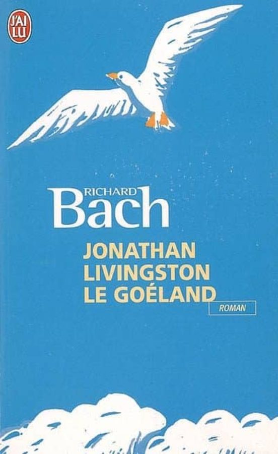 Jonathan Livingston Le Goeland