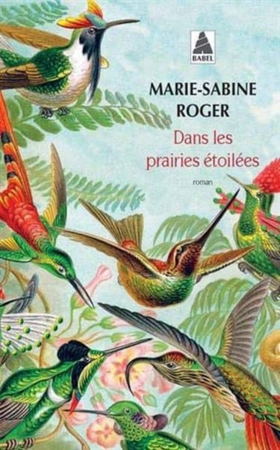 Dans Les Prairies Étoilées