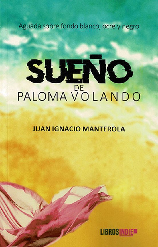 Sueño De Paloma Volando