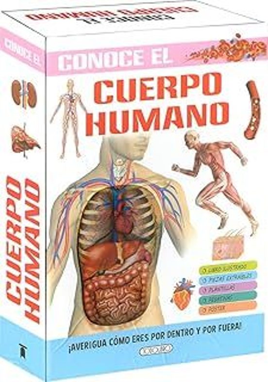 Conoce el Cuerpo Humano Caja. Caja