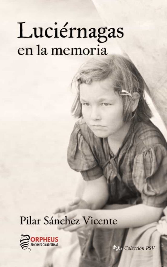 Luciérnagas En La Memoria