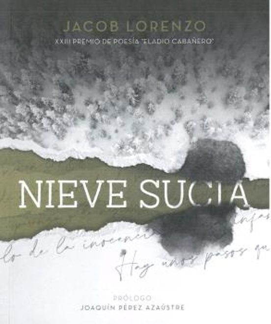 Nieve Sucia