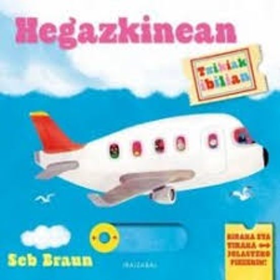 Hegazkinean