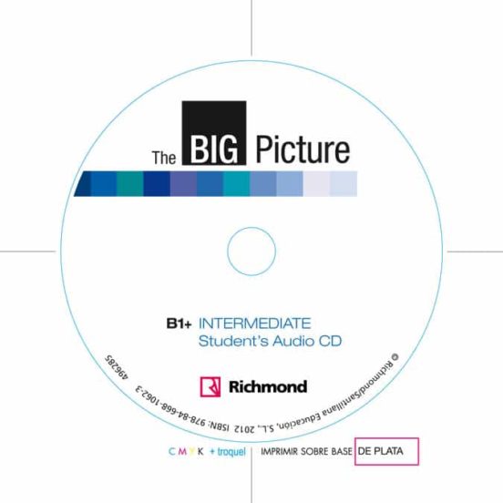 Big Picture 3 Workbook + Cd B1+