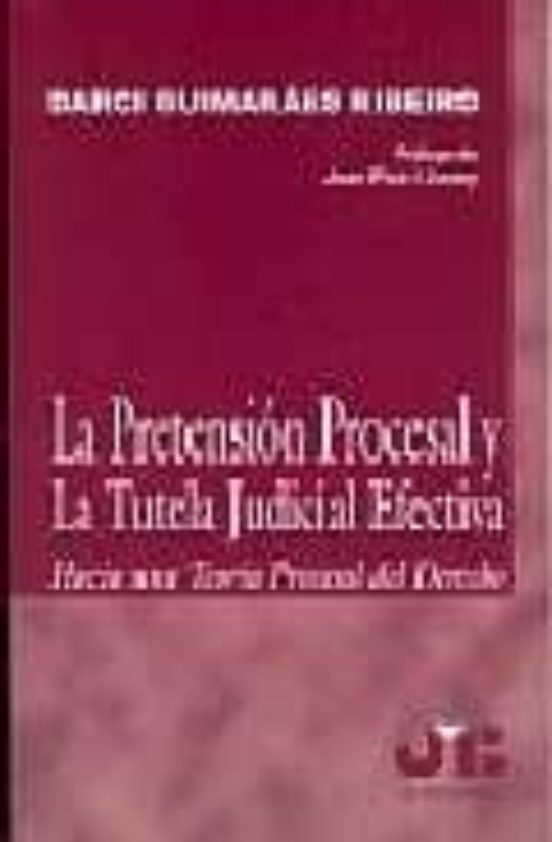 La Pretension Procesal Y La Tutela Judicial Efectiva: Hacia Una T Eori