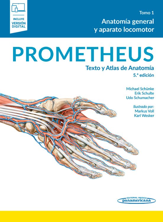 Lote Prometheus: Texto Y Atlas De Anatomía 5.ª Ed
