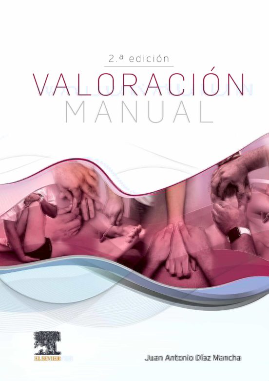 Valoracion Manual