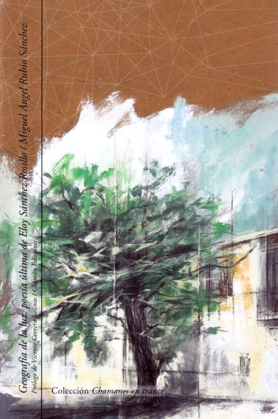 Geografía de la luz: poesía última de Eloy Sánchez Rosillo