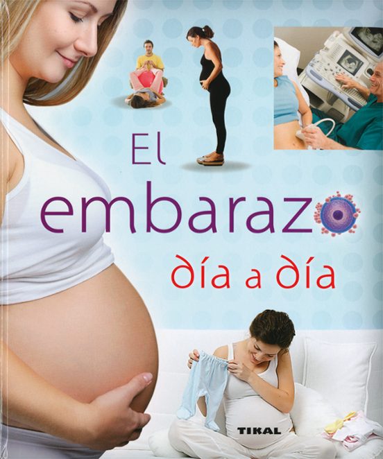 Embarazo Dia A Dia