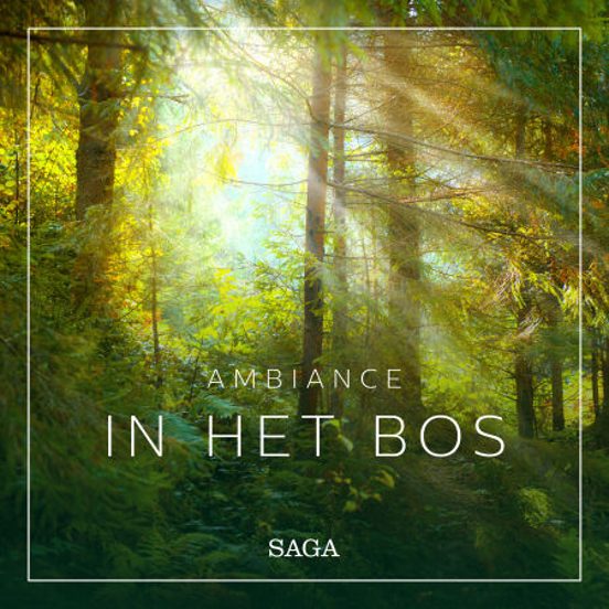 Ambiance – In Het Bos