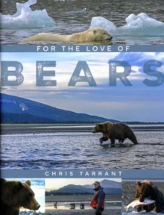 For The Love Of Bears