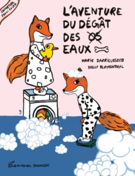 L Aventure du Degat des Eaux