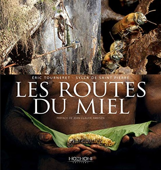 Les Routes Du Miel