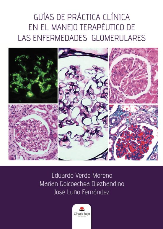 Guías De Práctica Clínica En El Manejo Terapéutico De Las Enfermedades Glomerulares