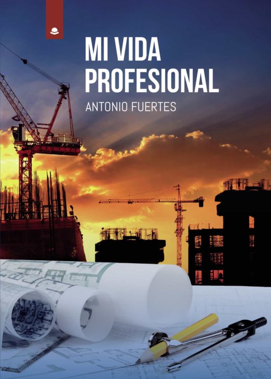 Mi Vida Profesional