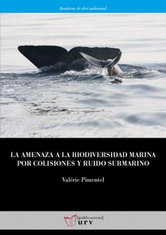 La Amenaza A La Biodiversidad Marina Por Colisiones Y Ruido Submarino