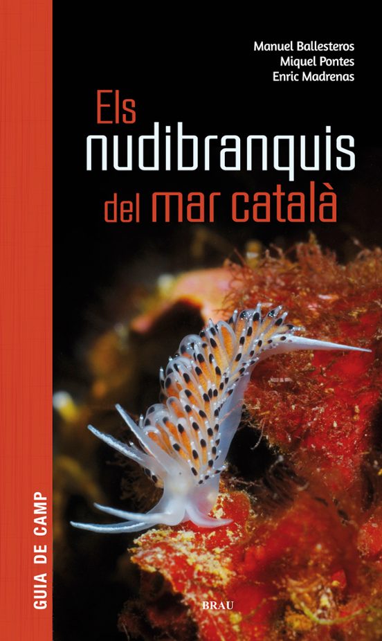 Els Nudibranquis Del Mar Català
