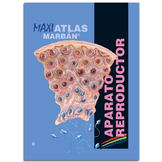 Aparato Reproductor