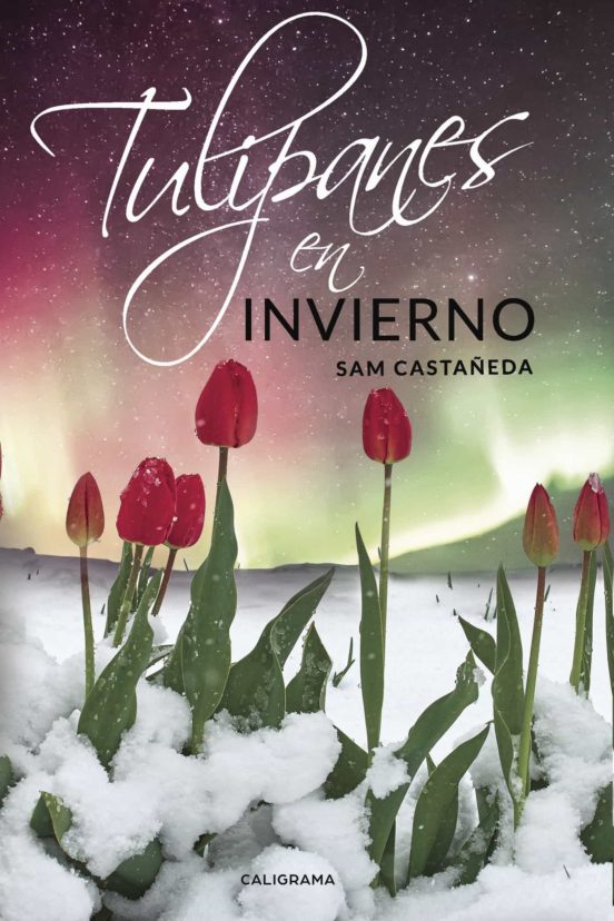 Tulipanes En Invierno