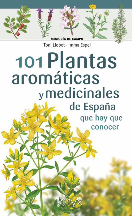101 Plantas Aromáticas Y Medicinales De España Que Hay Que Conocer