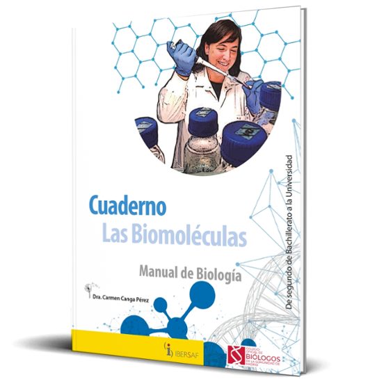 Cuaderno Las Biomoleculas