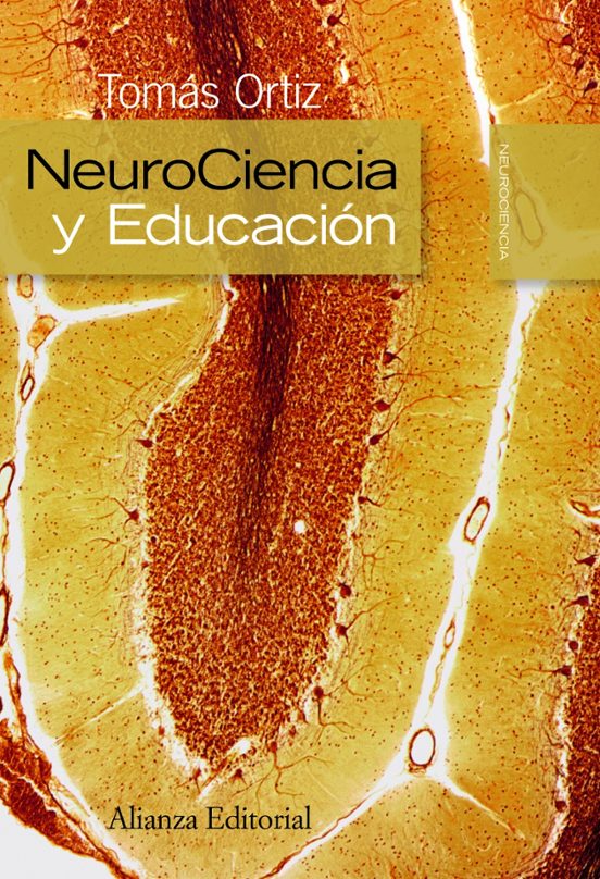 Neurociencia Y Educación
