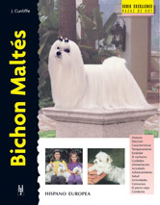Bichon Maltes. Serie Excellence