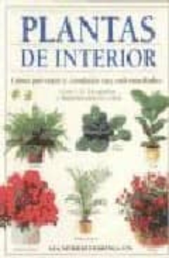 Plantas De Interior Como Prevenir Y Combatir Sus Enfermedades