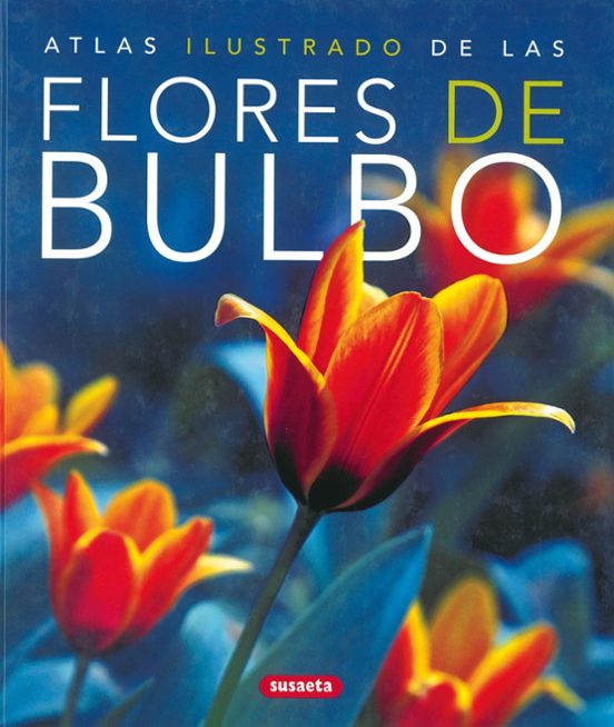 Flores De Bulbo